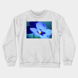 Pansy Blues Crewneck Sweatshirt